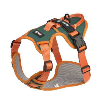 АнімАлл шлея HL.green XL