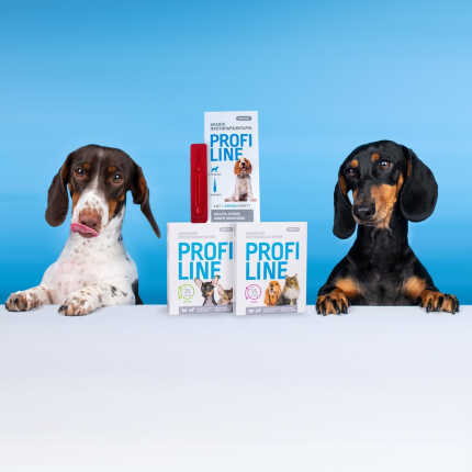 Нашийник Provet PROFILINE для котів та собак інсектоакарицид кораловий 35 см